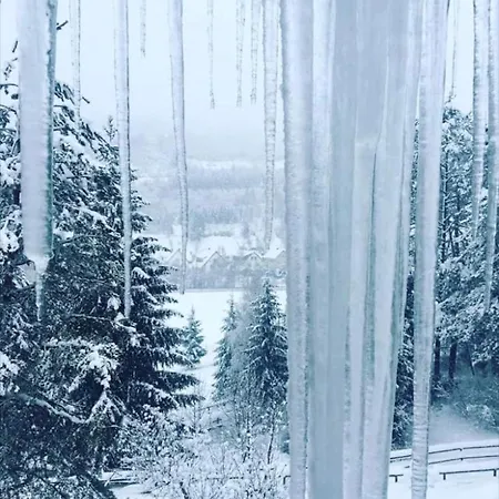 Alpesi faház Drevenica Janosik 1 *