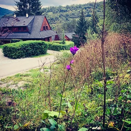 Alpesi faház Drevenica Janosik 1 *