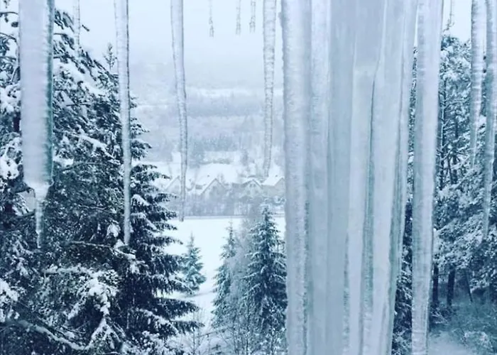 Alpesi faház Drevenica Janosik 1 *