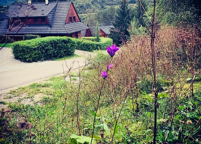 Alpesi faház Drevenica Janosik 1 *