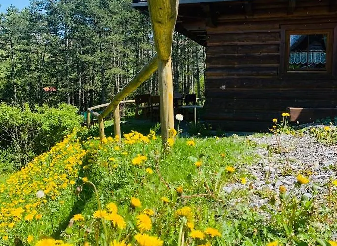 Alpesi faház Drevenica Janosik 1 Terhely