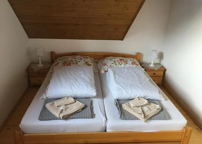 Drevenica Janosik 1 * טרצ'ובה